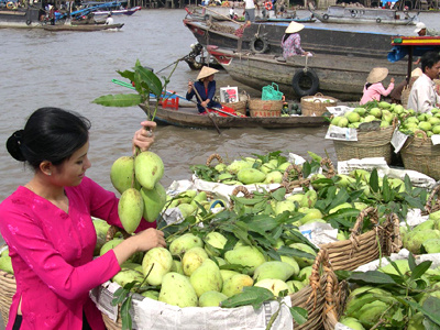 Thanh hóa – Hồ chí Minh – Đại Nam – Cần Thơ – Thanh Hóa.