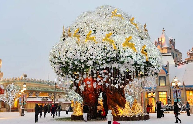 Tour du lịch Hàn Quốc từ Hà Nội 5N4Đ: Tận hưởng mùa thu Seoul – Everland – Nami |KS 4* + Bay thẳng 14.990.000đ