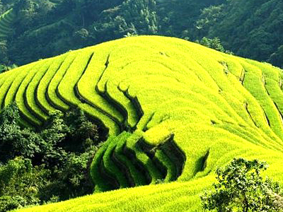 Thanh hóa – Sơn La – Điện Biên - SaPa - Lào Cai