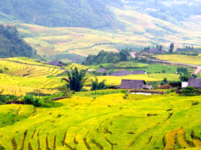 Thanh hóa – K9 – Mai Châu